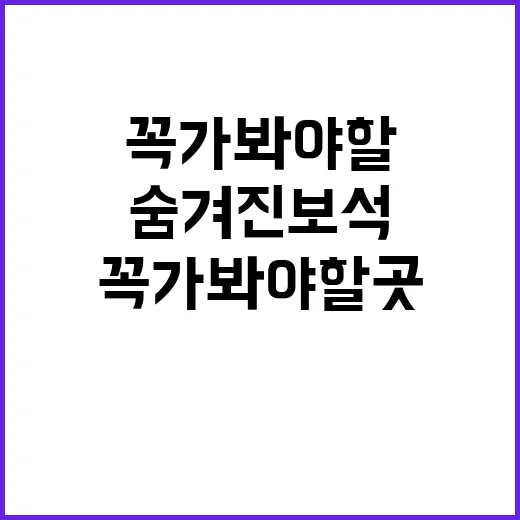 강릉에서 꼭 가봐야 할 곳들: 숨겨진 보석을 찾는 방법