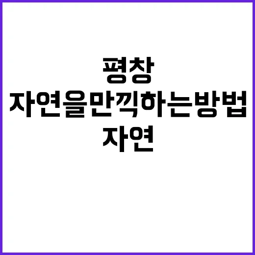 평창 이나트에서 자연을 만끽하는 방법