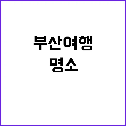 부산 여행에서 꼭 들러야 할 명소를 발견하는 방법