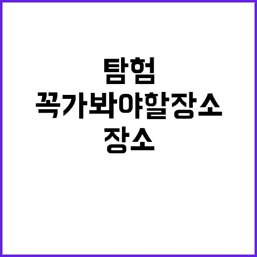 부산에서 꼭 가봐야 할 장소를 탐험하는 방법