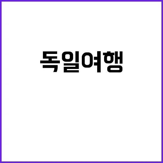 독일 여행 중 꼭 맛봐야 할 슈니첼을 즐기는 방법 - 요약