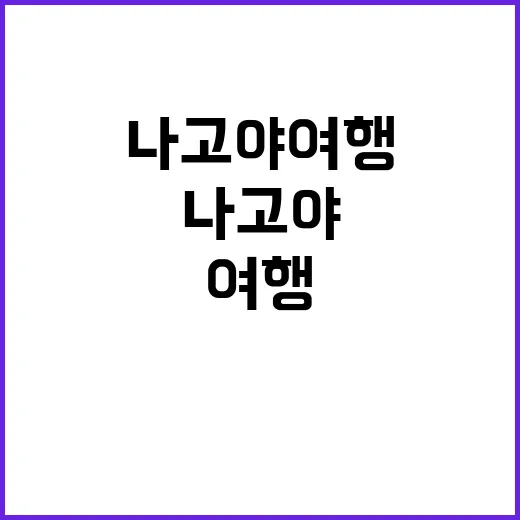 나고야 여행을 완벽히 즐기는 방법 - 요약