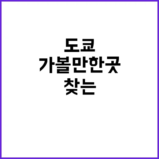 도쿄에서 가볼 만한…