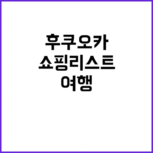 후쿠오카 여행 시 쇼핑리스트를 완성하는 방법 - 요약