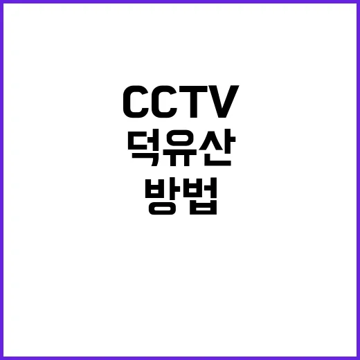 덕유산 여행을 위한 CCTV 활용 방법 - 요약
