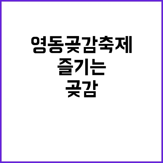영동 곶감축제 즐기는 방법 - 요약