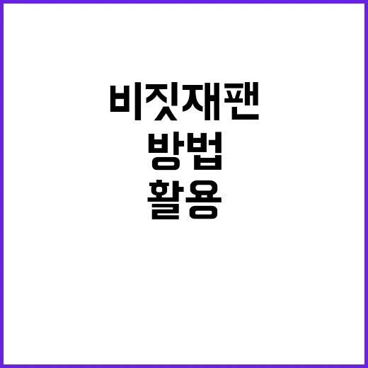 비짓재팬을 최대한 활용하는 방법 - 요약