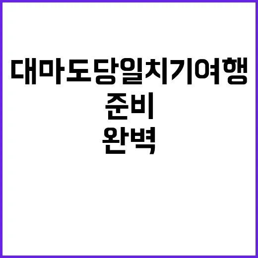 대마도 당일치기 여행을 완벽하게 준비하는 방법 - 요약