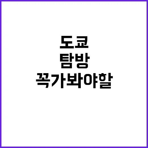 도쿄에서 꼭 가봐야 할 명소를 탐방하는 방법 - 요약