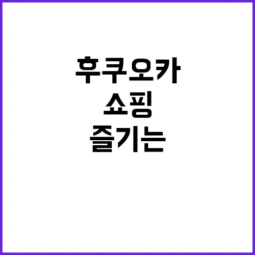 후쿠오카에서 쇼핑을 즐기는 방법 - 요약