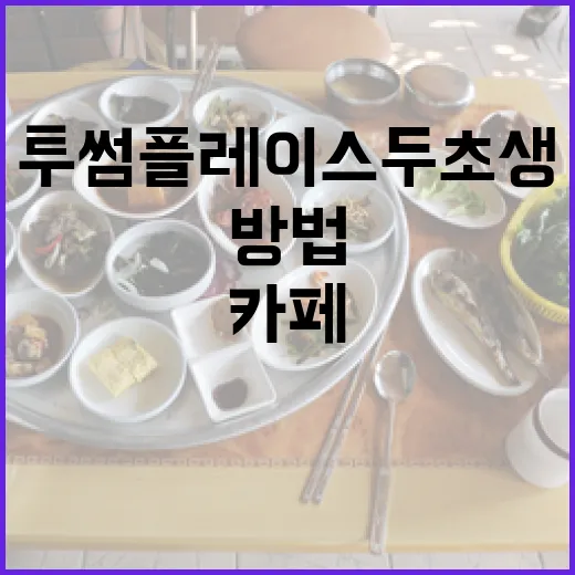 투썸플레이스 두초생 활용하는 방법: 감성적인 카페 시간 만들기 - 요약