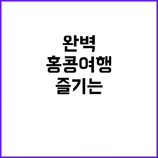 홍콩 여행을 완벽하게 즐기는 방법 - 요약