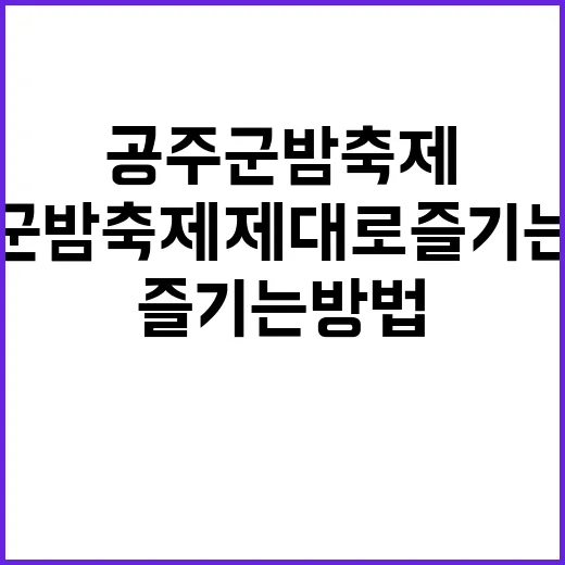 공주 군밤축제 제대로 즐기는 방법 - 요약