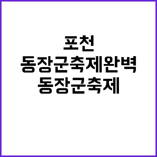 포천 동장군축제 완벽하게 즐기는 방법 - 요약