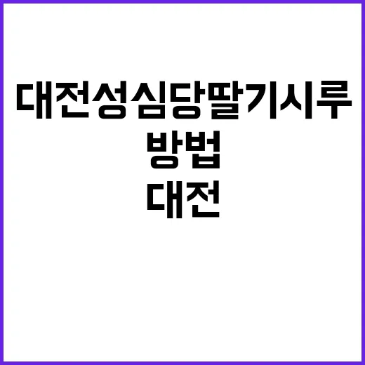 대전 성심당 딸기시루를 만끽하는 방법 - 요약