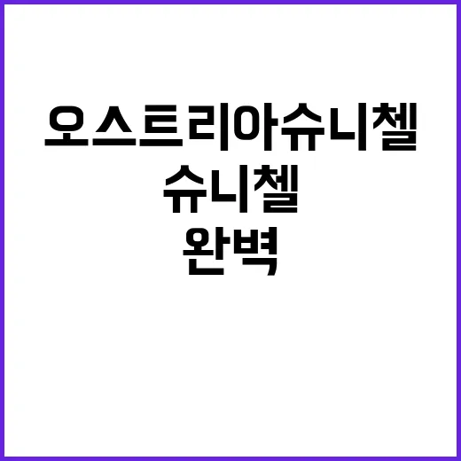 오스트리아 슈니첼을 완벽하게 즐기는 방법 - 요약