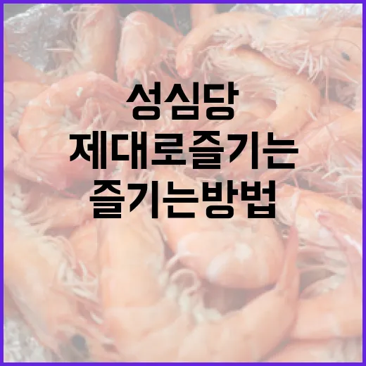 성심당을 제대로 즐기는 방법 - 요약