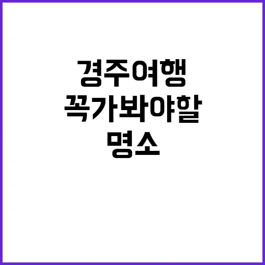 경주 여행: 꼭 가봐야 할 명소를 즐기는 방법 - 요약