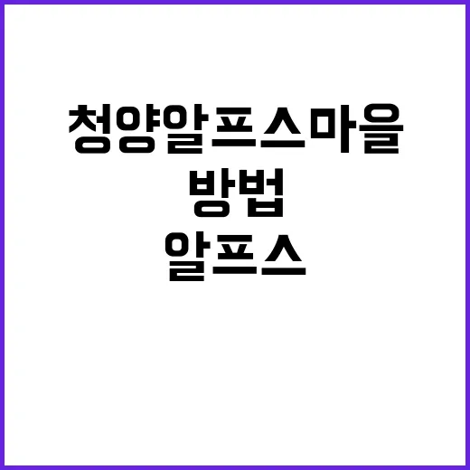 청양 알프스마을에서 자연과 하나 되는 방법 - 요약