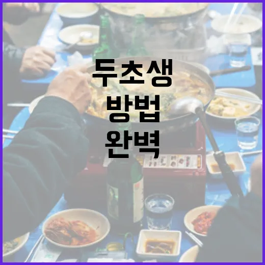 두초생을 위한 완벽한 여행 준비하는 방법 - 요약