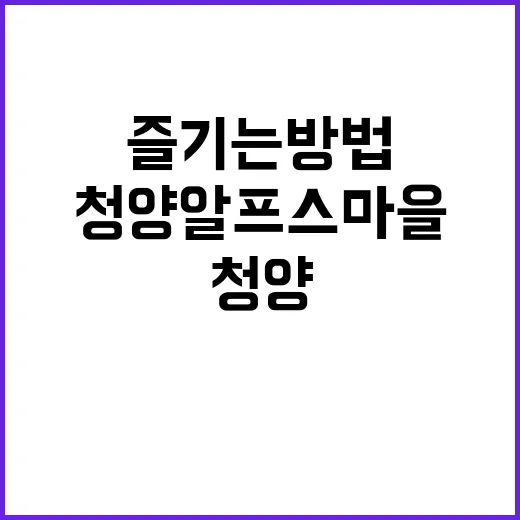 청양 알프스마을에서 힐링 여행을 즐기는 방법 - 요약