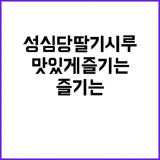 성심당 딸기시루 맛있게 즐기는 방법 - 요약