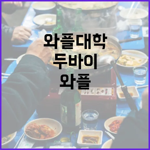 두바이에서 와플대학을 즐기는 방법 - 요약