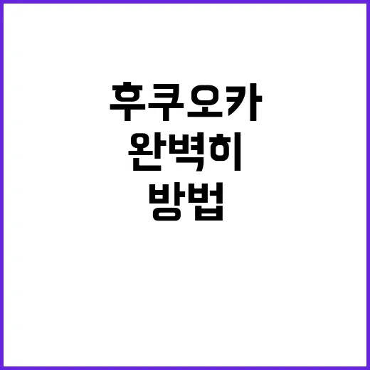 후쿠오카를 완벽히 즐기는 방법 - 요약