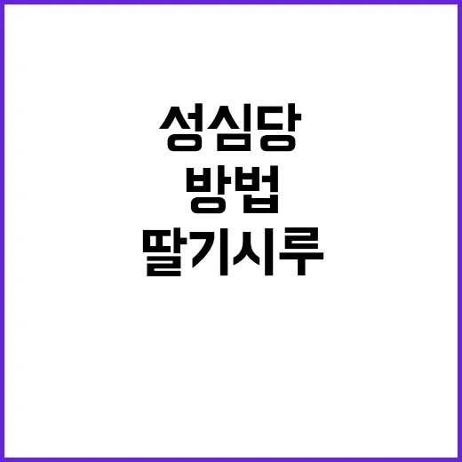 성심당 딸기시루를 맛보는 최고의 방법 - 요약