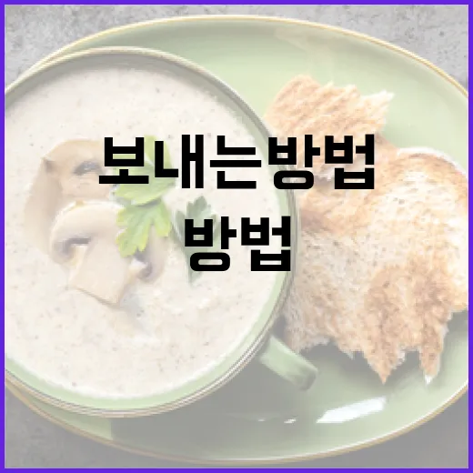 와플대학 두바이에서 완벽한 하루를 보내는 방법 - 요약