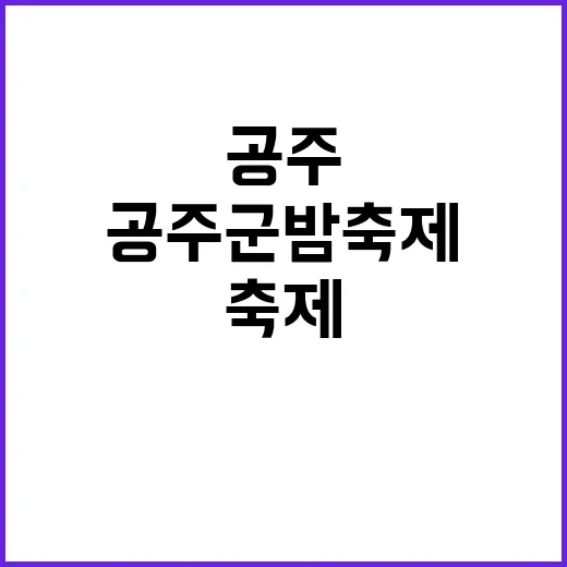 공주 군밤축제를 만끽하는 방법 - 요약