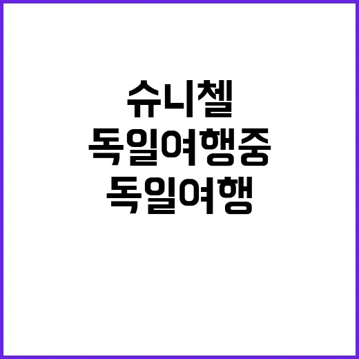 독일 여행 중 슈니첼을 맛보는 최고의 방법 - 요약