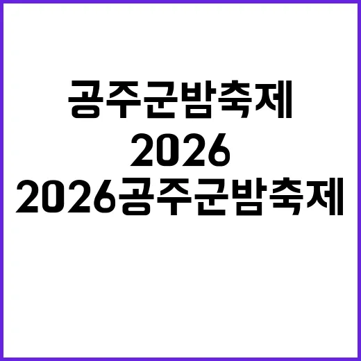 2026 공주 군밤축제를 즐기는 방법 - 요약