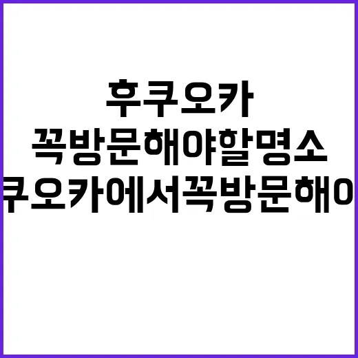 후쿠오카에서 꼭 방문해야 할 명소를 찾는 방법 - 요약