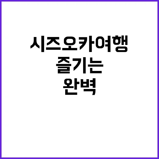 시즈오카 여행을 완벽하게 즐기는 방법 - 요약
