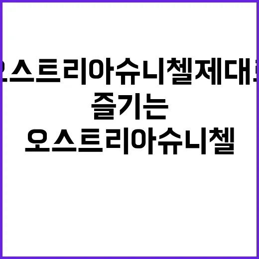 오스트리아 슈니첼 제대로 즐기는 방법 - 요약