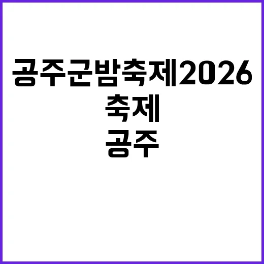공주 군밤축제 2026을 만끽하는 방법 - 요약