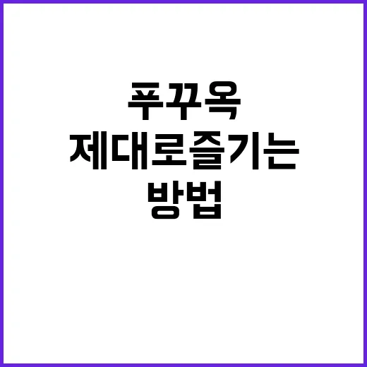 푸꾸옥을 제대로 즐기는 방법 - 요약
