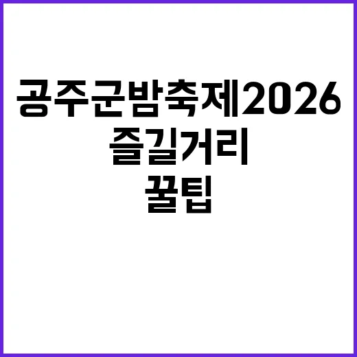 공주 군밤축제 2026을 만끽하는 방법: 즐길 거리와 꿀팁 - 요약