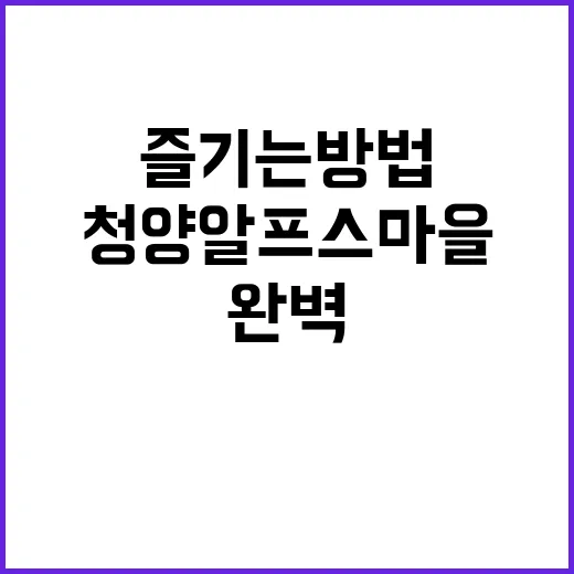 청양 알프스마을을 완벽하게 즐기는 방법 - 요약