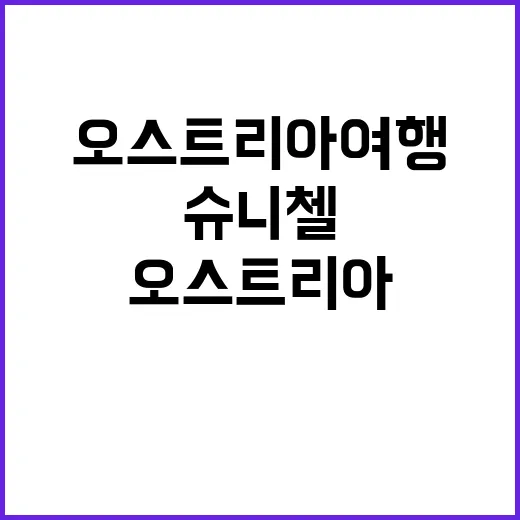 오스트리아 여행에서 슈니첼을 즐기는 방법 - 요약