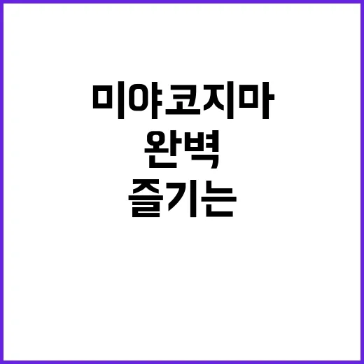 미야코지마를 완벽하게 즐기는 방법 - 요약