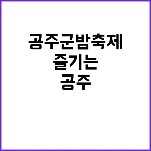 공주 군밤축제를 즐기는 방법 - 요약