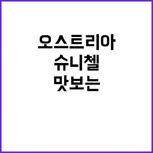 오스트리아에서 진정한 슈니첼을 맛보는 방법 - 요약