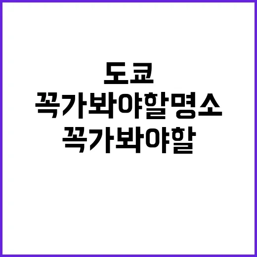 도쿄에서 꼭 가봐야 할 명소를 탐험하는 방법 - 요약