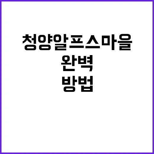 청양 알프스마을을 완벽하게 탐험하는 방법 - 요약