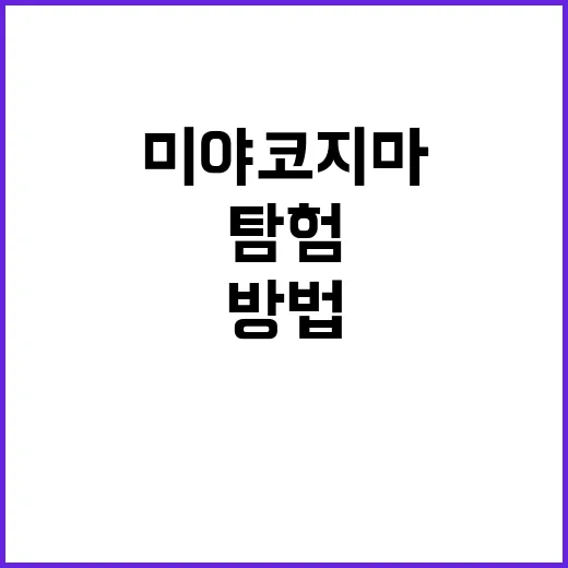 미야코지마를 완벽하게 탐험하는 방법 - 요약