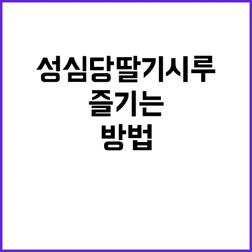 성심당 딸기시루를 제대로 즐기는 방법 - 요약