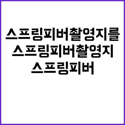 스프링피버 촬영지를 방문하는 방법 - 요약