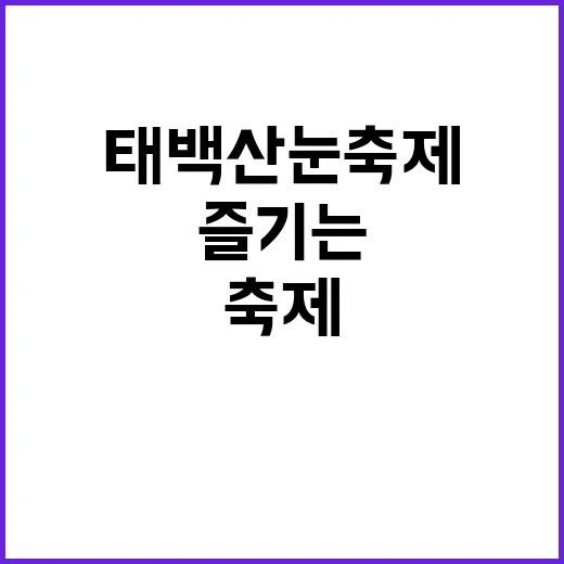 태백산 눈축제를 즐기는 방법 - 요약